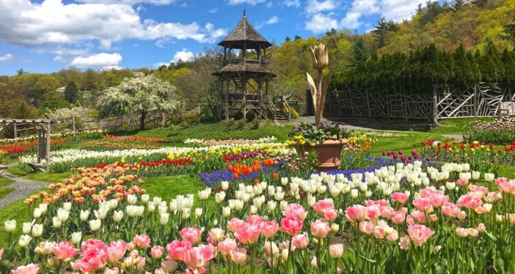 Mohonk Mountain House Tulip Festival