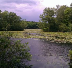 Teatown Lake Reserva...