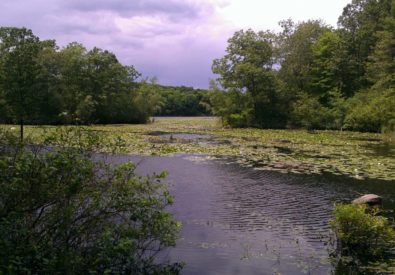 Teatown Lake Reserva...