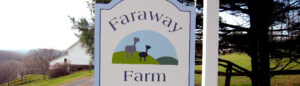 Faraway-Farm