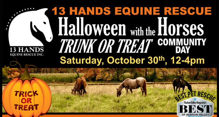 Halloween with the Horses Trunk-or-Treat