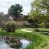 Hammond Museum & Japanese Stroll Garden