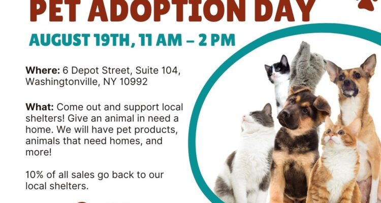 Pet Adoption Day