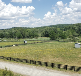 Blue Arrow Farm