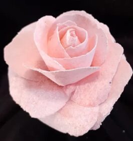 Crafting with the Maker: Wafer Paper Roses Class
