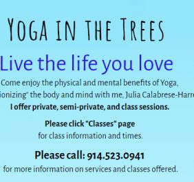 Yoga in the Trees