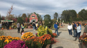 Manza Family Farm