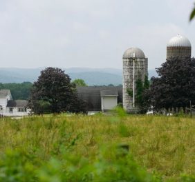 Hilltop Hanover Farm...