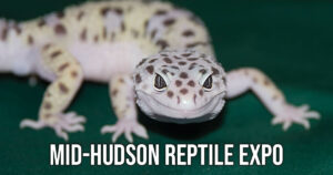 MID-HUDSON REPTILE EXPO