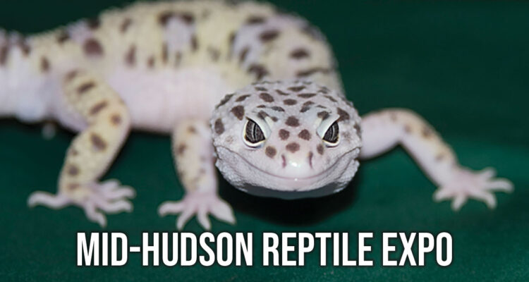 MID-HUDSON REPTILE EXPO