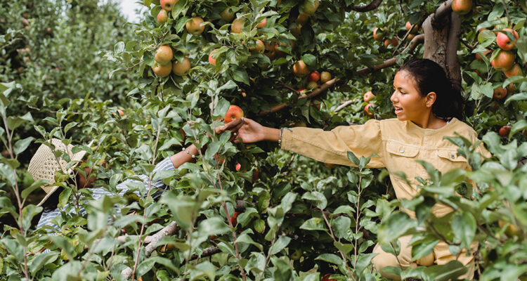 1st Annual Women in Food & Farming Festival