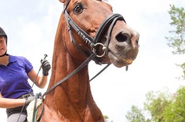 So your kid is interested in riding horses…