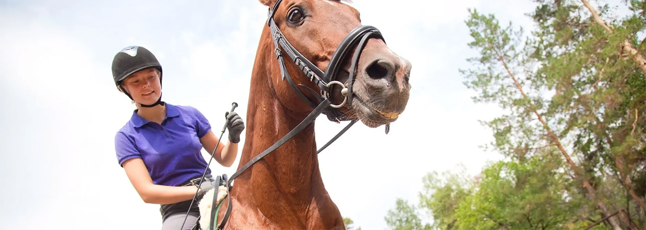 So your kid is interested in riding horses...
