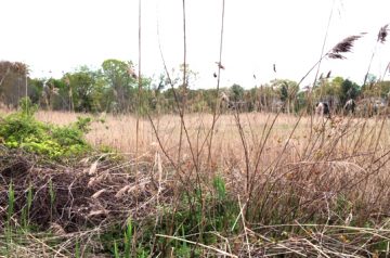 Otter Creek Preserve Is a Hidden Gem