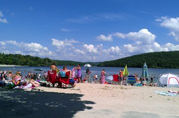 Local Beaches for Chill Swimming This Summer