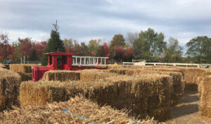 Manza Family Farm
