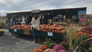 Manza Family Farm
