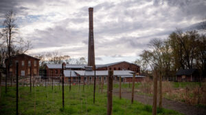 City Winery, Interview with Owner, Michael Dorf
