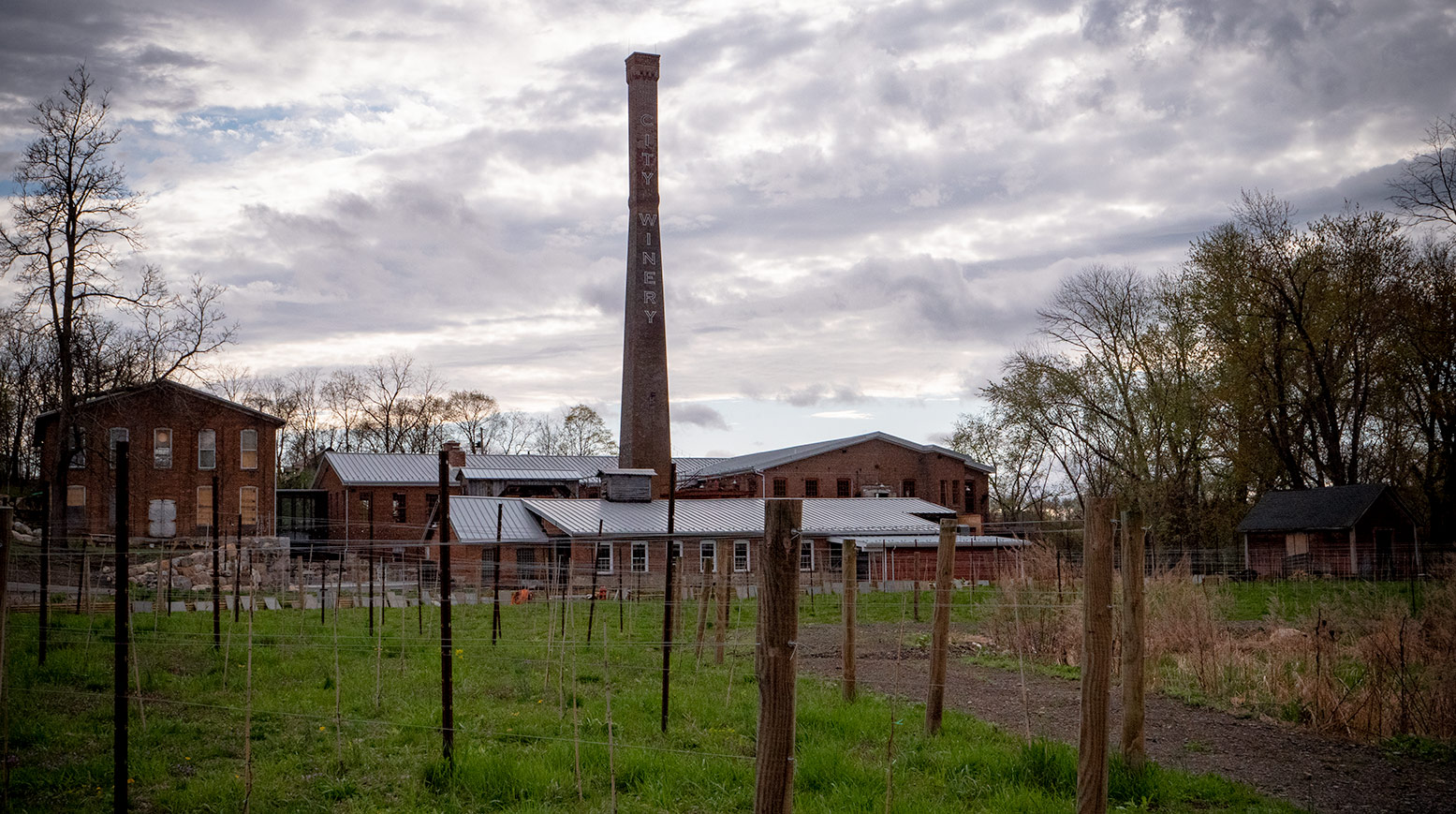 City Winery, Interview with Owner, Michael Dorf