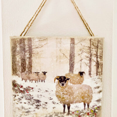 Sheep-in-snow by by Jane Sayre-Denny