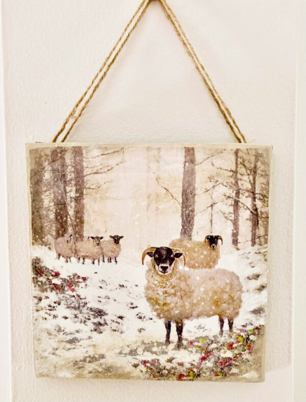 Sheep-in-snow by Jane Sayre-Denny