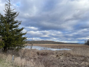 Stewart State Park