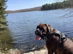 Middletown Reservoir