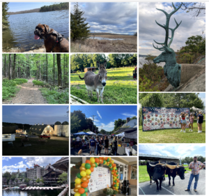 2022-A Photographic Year in Review
